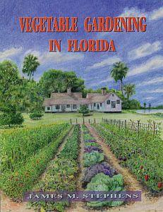 Vegetable Gardening in Florida