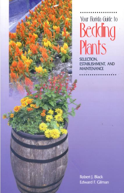 Your Florida Guide to Bedding Plants