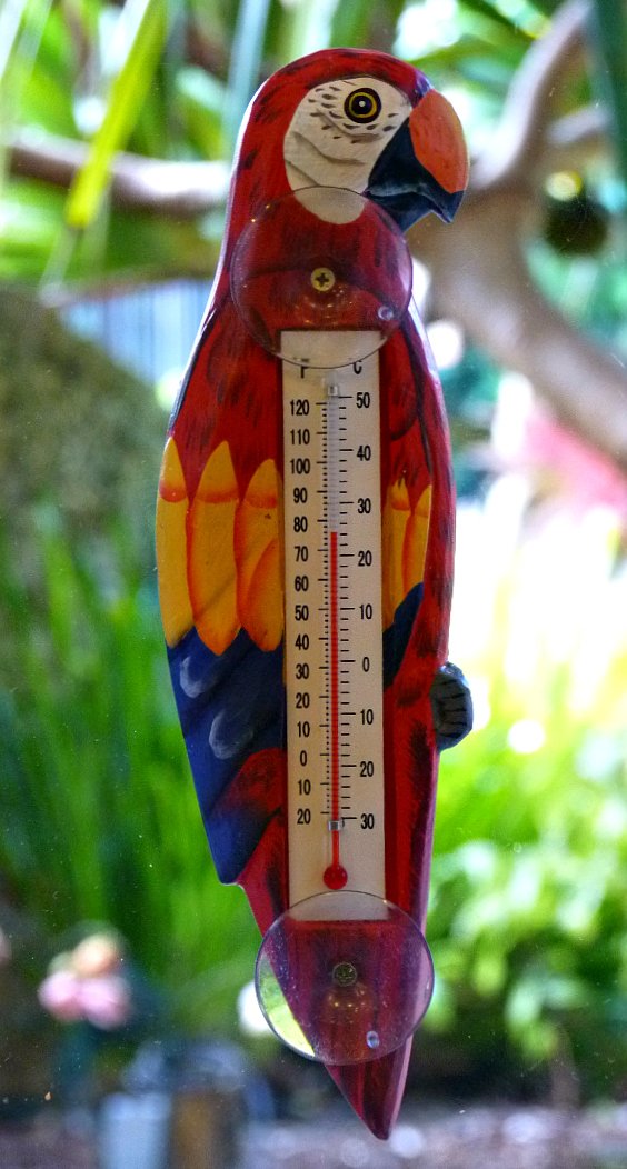 Parrot Thermometer