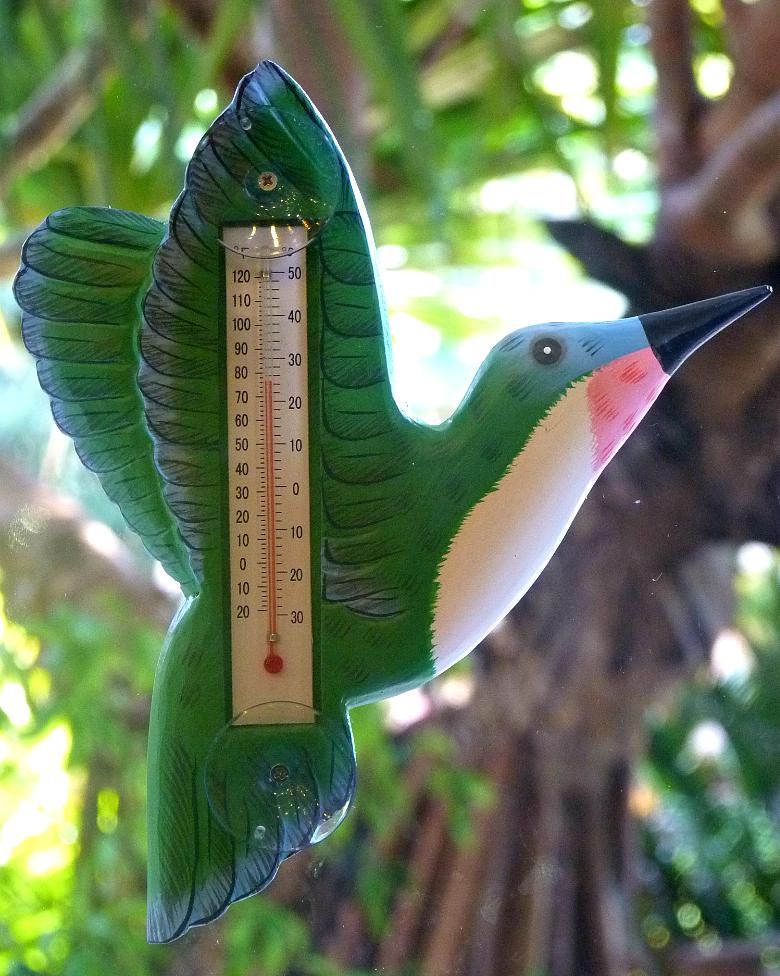 Hummingbird Thermometer