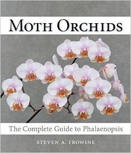Moth Orchids: The Complete Guide to Phalaenopsis