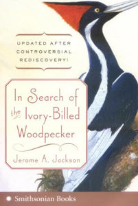In Search of the Ivory-Billed Woodpecker