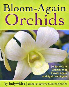 Bloom Again Orchids