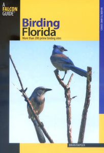 Birding Florida