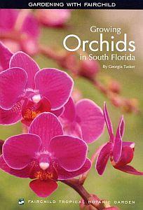 Growing Orchids in South Florida