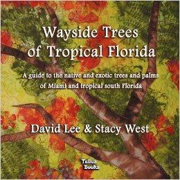 Wayside Trees of Tropical Florida