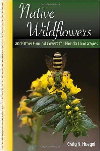 Native Wildflowers and Other Ground Covers