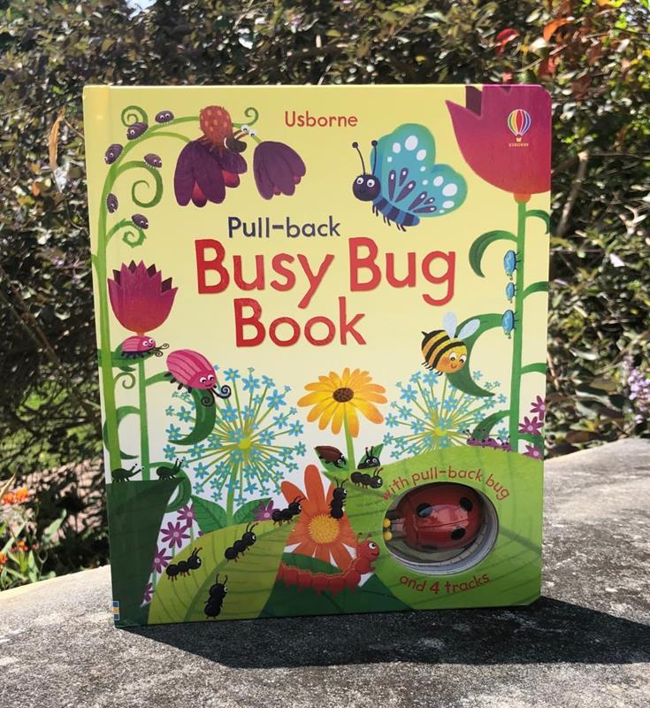 Busy Bug Book