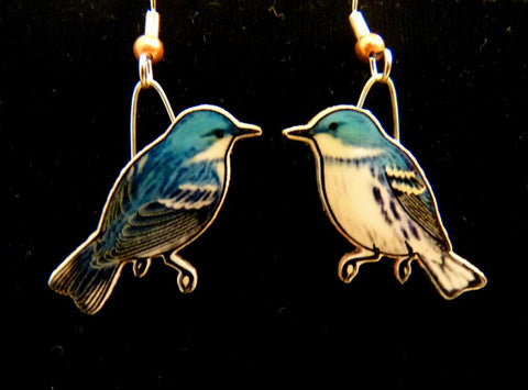 Cerulean Warbler Jabebo Earrings