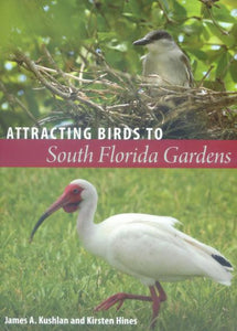 Attracting Birds to South Florida Gardens