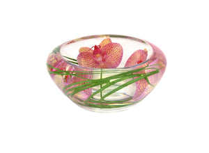 Pink Yellow Spotted Phalaenopsis Bowl (Small)