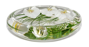 White Phalaenopsis Bowl (Large)