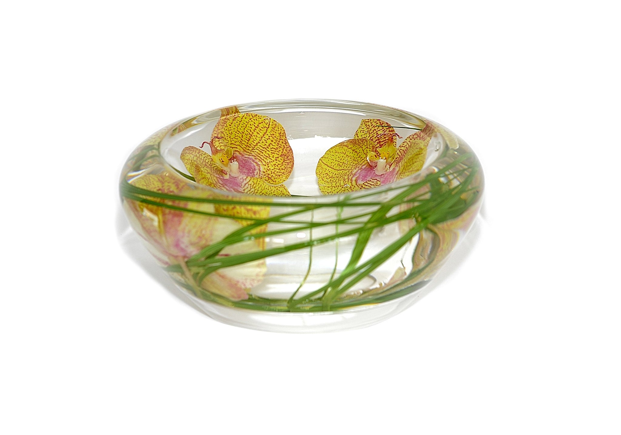 Yellow Pink Spotted Phalaenopsis Bowl (Small)
