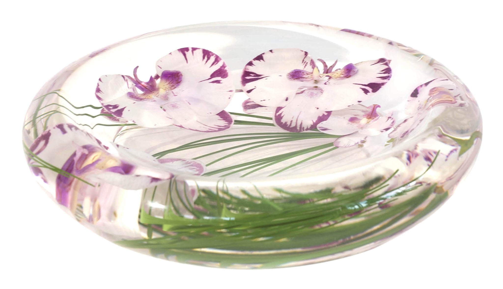 White Lavender Phalaenopsis Bowl (Large)