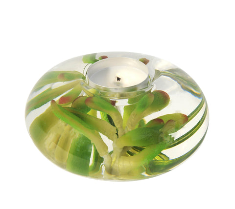 Succulent Tea Light Holder (Large)