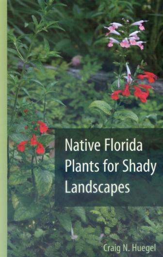 Native Florida Plants for Shady Landscapes