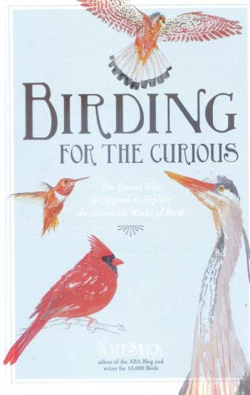 Birding for the Curious