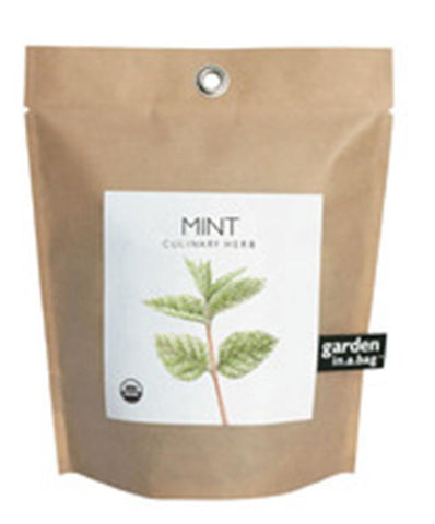 Mint Garden in a Bag