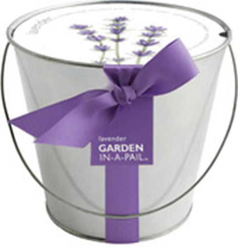 Lavender Garden in a Pail