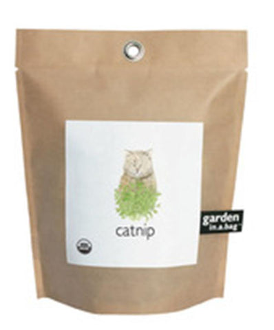 Catnip in a Bag